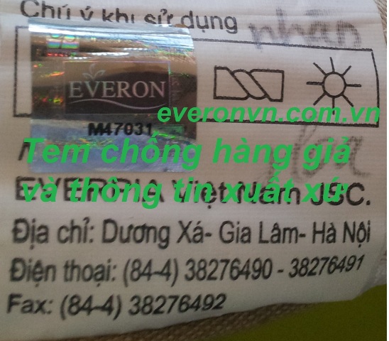 đệm bông ep everon