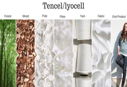 Vải Tencel và các ưu điểm vượt trội của nó.