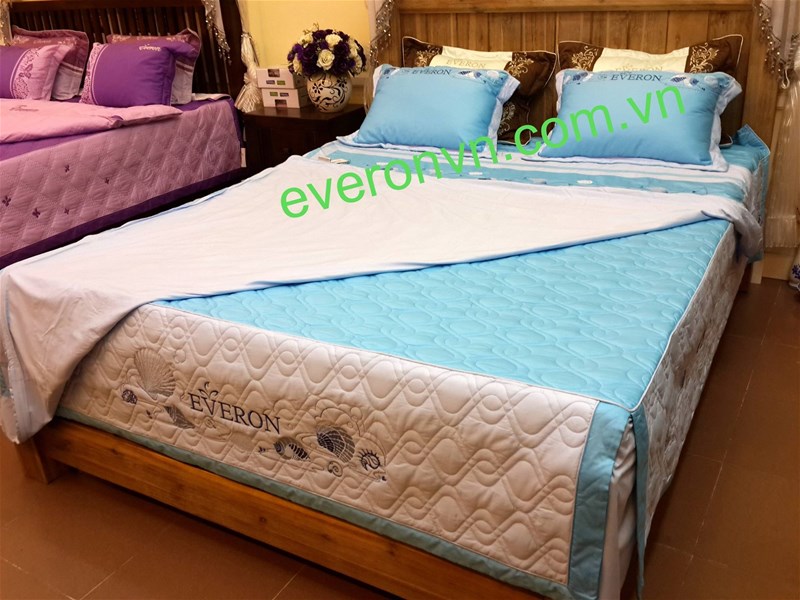 bộ everon es 1510