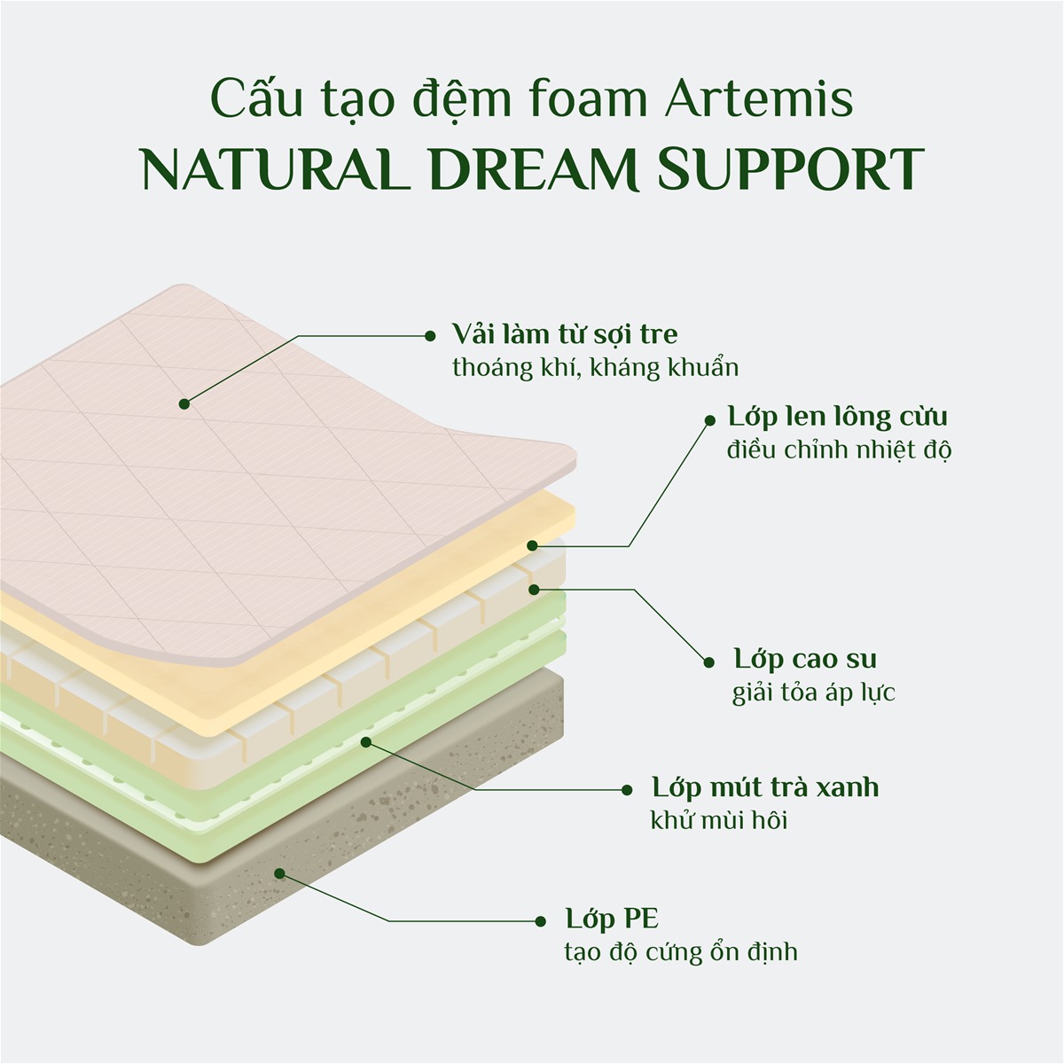 Đệm foam Artemis Nature Dream Support