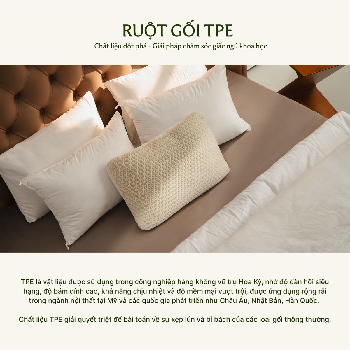 Ruột gối TPE Everon