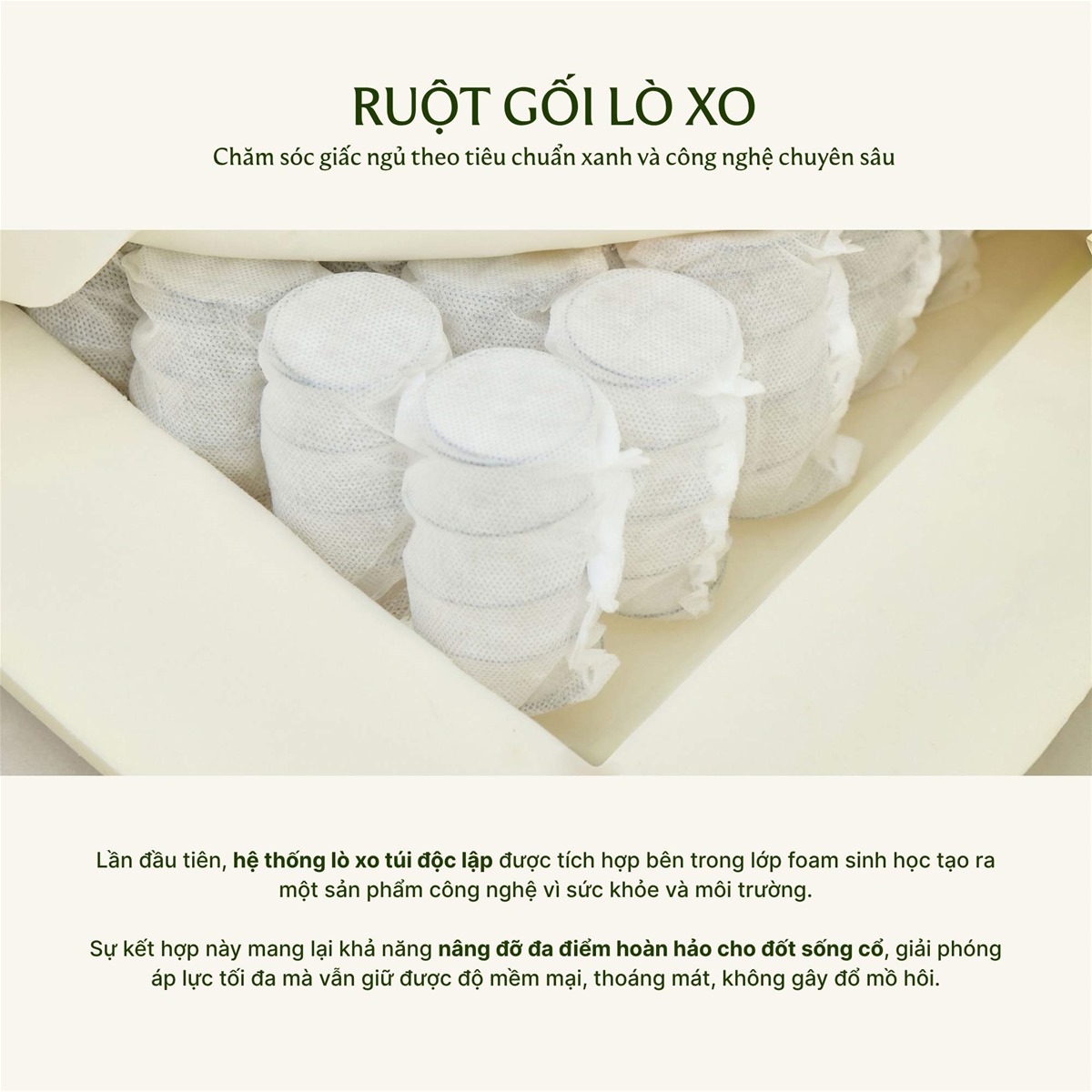 ruột gối lò xo Everon
