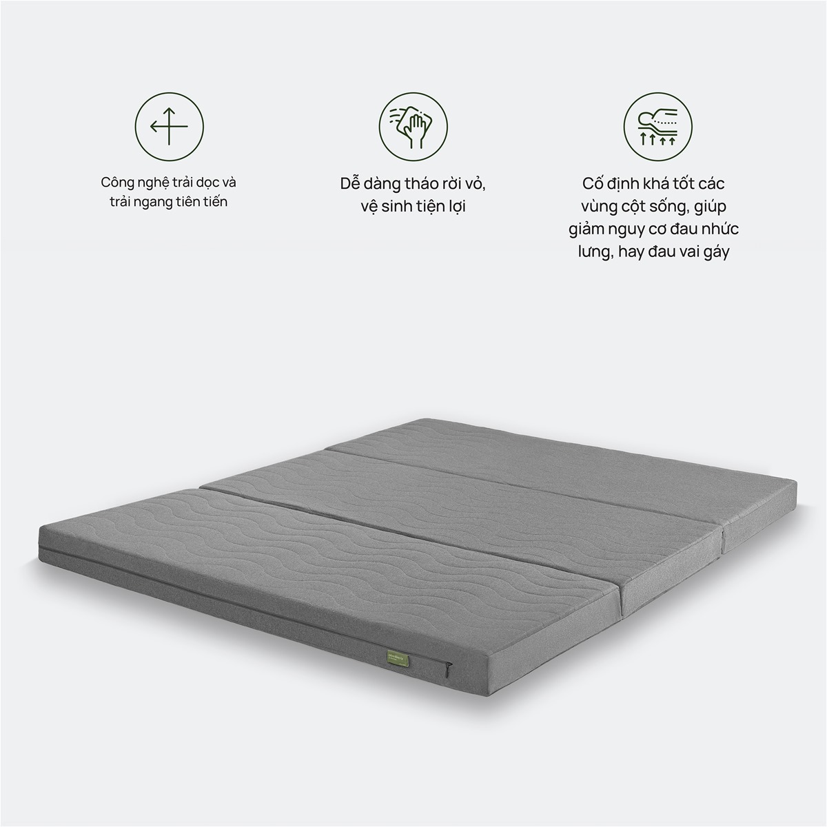 Đệm Bông Ép Everon 9cm