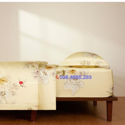 Chăn hè Everon EPTC 26018