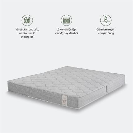 So sánh Đệm Bông Ép Everon Top Plus và Đệm Lò Xo Everon Pocket Pops