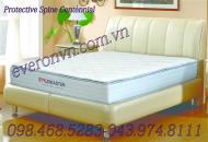 Đệm lò xo túi Protective Spine Centennial
