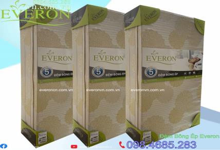 Review các loại đệm Everon từ bình dân đến cao cấp cho mọi đối tượng khách hàng.