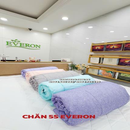 Ruột Chăn Everon 5S