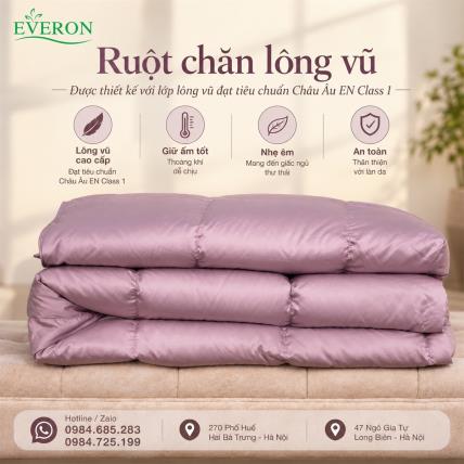 Ruột Chăn Lông Vũ Everon