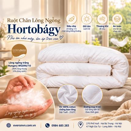 Ruột Chăn Lông Ngỗng Hortobágy
