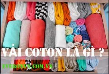 Thế nào là vải Cotton