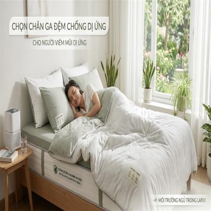 Hướng Dẫn Chi Tiết: Chọn Chăn Ga Đệm Chống Dị Ứng Cho Người Viêm Mũi Dị Ứng